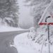 Servisne informacije, nedjelja, 05. januar 2025. godine