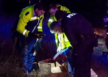 Crna novogodišnja noć u Njemačkoj: Pet osoba poginulo zbog pirotehnike