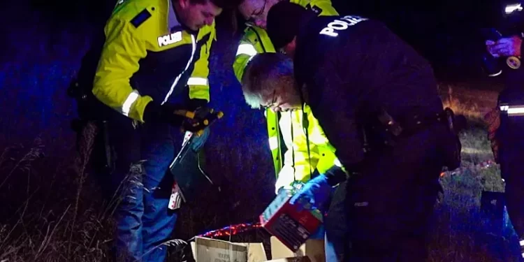 Crna novogodišnja noć u Njemačkoj: Pet osoba poginulo zbog pirotehnike