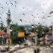 Za danas izdato narandžasto upozorenje zbog jakog vjetra, naredna sedmica donosi hladnije vrijeme