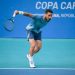 Džumhur prošao u polufinale Challengera u Dominikanskoj Republici