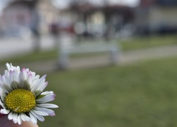 Servisne informacije, četvrtak, 20. mart 2025. godine