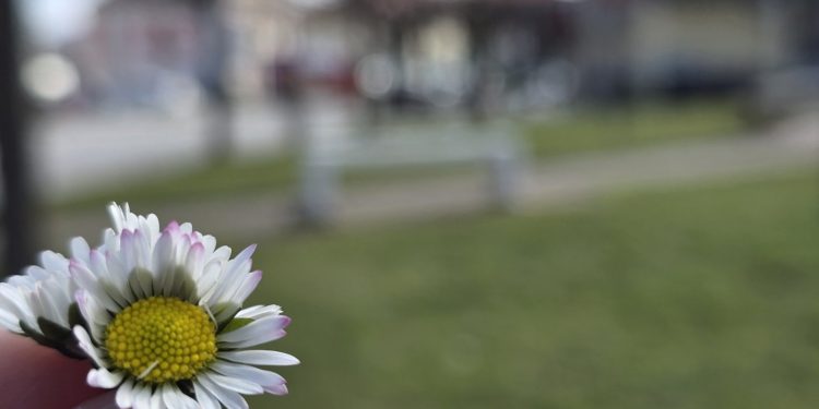 Servisne informacije, četvrtak, 20. mart 2025. godine