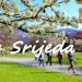 Servisne informacije, srijeda, 02. april 2025. godine
