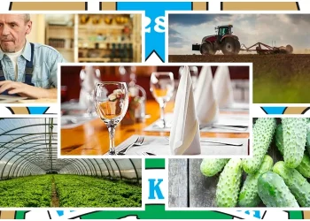 Rezultati općinskih javnih poziva; Obrt, poljoprivreda, plastenici, krastavci kornišoni, ugostitelji