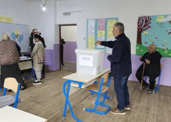 Izbori u MZ: Do 11h svoje biračko pravo iskoristilo 1324 građana