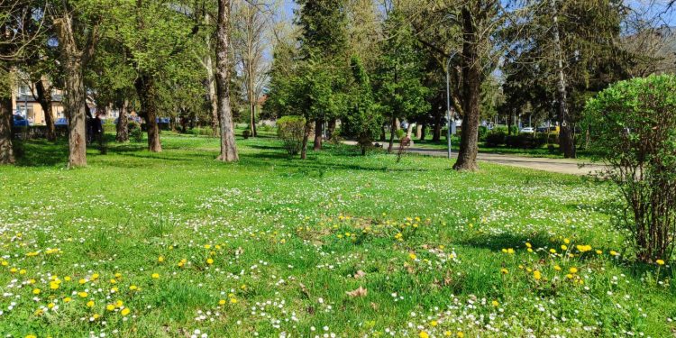 Servisne informacije, petak, 04. april 2025. godine