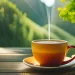 Servisne informacije, ponedjeljak, 26. maj 2025. godine