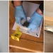 Policijska akcija “Boks”: U Velikoj Kladuši uhapšeno pet osoba