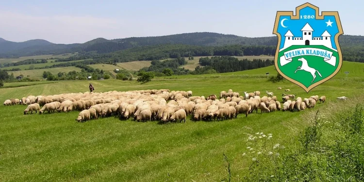 Obavijest – Prijava proizvodnje za uzgoj rasplodne stoke – ovce za 2025. godinu