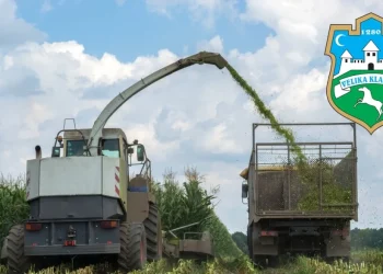 Obavijest – Prijava početka proizvodnje silažnog kukuruza