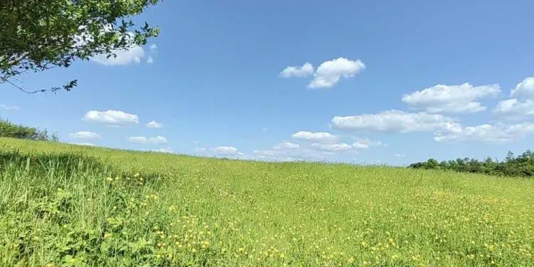 Servisne informacije, petak, 02. maj 2025. godine