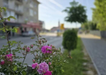 Servisne informacije, četvrtak, 22. maj 2025. godine