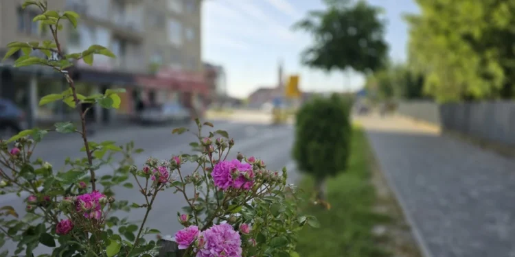 Servisne informacije, četvrtak, 22. maj 2025. godine