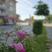 Servisne informacije, četvrtak, 22. maj 2025. godine