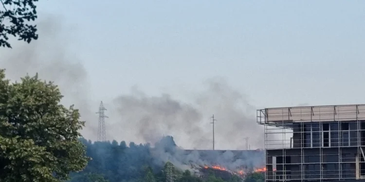 Servisne informacije, utorak, 24. juni 2025. godine