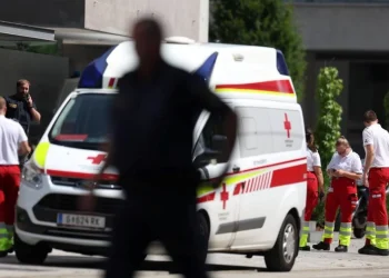 Dvoje mladih porijeklom iz BiH među ubijenima u školi u Grazu