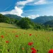 Servisne informacije, subota, 28. juni 2025. godine