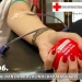 Servisne informacije, subota, 14. juni 2025. godine