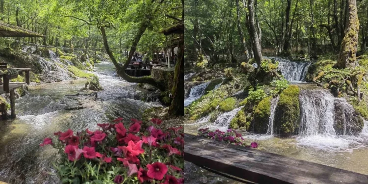 BiH jedna od 20 zemalja s najvećim zalihama pitke vode na svijetu