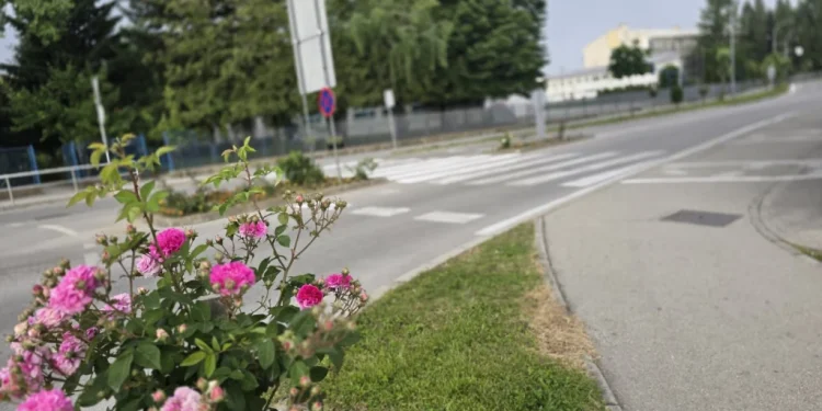 Servisne informacije, ponedjeljak, 16. juni 2025. godine