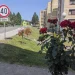 Servisne informacije, nedjelja, 08. juni 2025. godine
