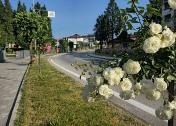 Servisne informacije, utorak, 10. juni 2025. godine