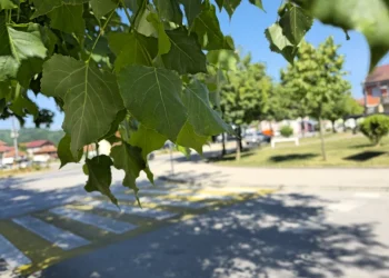 Servisne informacije, četvrtak, 26. juni 2025. godine