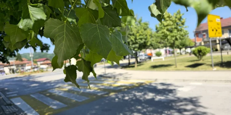 Servisne informacije, četvrtak, 26. juni 2025. godine