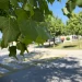 Servisne informacije, četvrtak, 26. juni 2025. godine