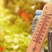Servisne informacije, četvrtak, 03. juli 2025. godine