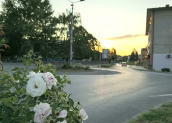 Servisne informacije, utorak, 15. juli 2025. godine