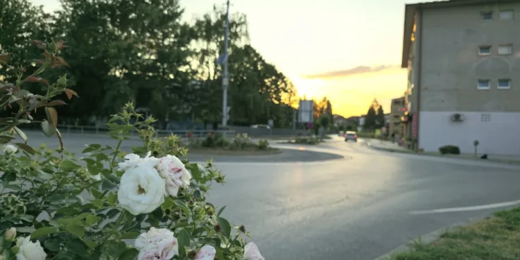 Servisne informacije, utorak, 15. juli 2025. godine
