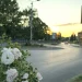 Servisne informacije, utorak, 15. juli 2025. godine