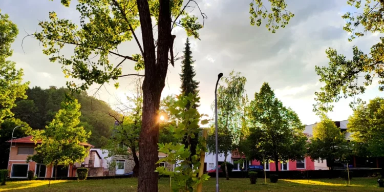 Servisne informacije, utorak, 22. juli 2025. godine