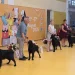 Velika Kladuša i ove godine ugostila ”Internacionalni Summer Dog Show”
