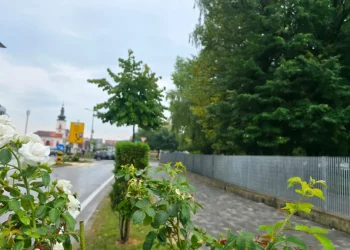 Servisne informacije, četvrtak, 21. august 2025. godine