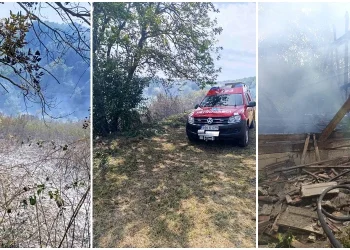 Servisne informacije, petak, 29. august 2025. godine
