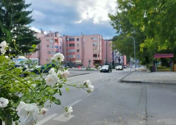 Servisne informacije, ponedjeljak, 15. septembar 2025. godine
