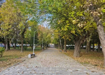 Servisne informacije, petak, 17. oktobar 2025. godine
