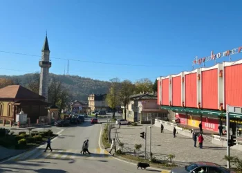 Servisne informacije, srijeda, 29. oktobar 2025. godine