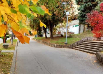 Servisne informacije, nedjelja, 19. oktobar 2025.
