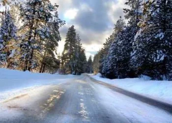 Servisne informacije, ponedjeljak, 12. januar 2026. godine