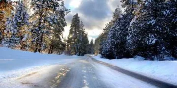 Servisne informacije, ponedjeljak, 12. januar 2026. godine