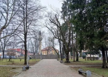 Servisne informacije, četvrtak, 12. februar 2026.