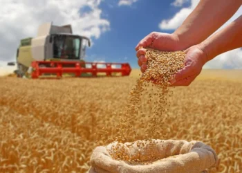 Agroindustrija BiH u 2025. bilježi deficit od 4,24 milijarde KM