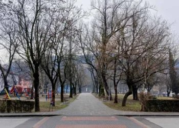 Servisne informacije, nedjelja, 08. februar 2026. godine
