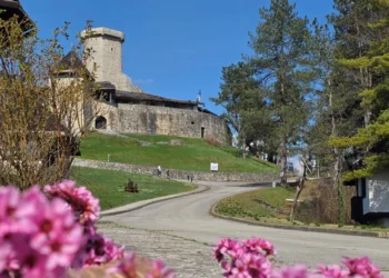 Servisne informacije, četvrtak, 19. mart 2026. godine