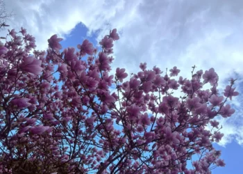 Ljepše vrijeme s temperaturama do 16 stepeni se očekuje nakon 5. aprila