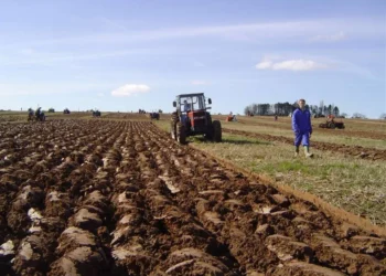 Proljetna sjetva u BiH počinje uskoro: Sadni materijal uglavnom dostupan, izazov klimatske promjene